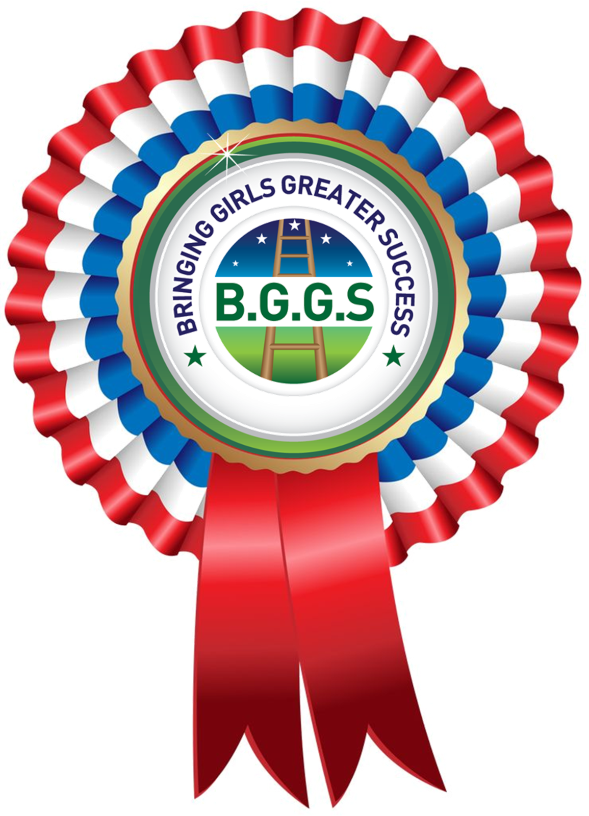 Rosette with BGGS logo in the cntre